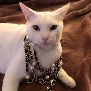 Meet your Posher, Martha